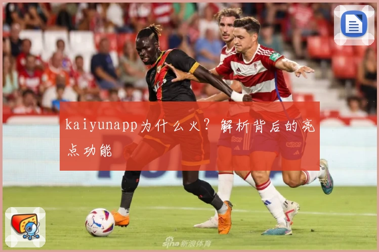 kaiyunapp为什么火？解析背后的亮点功能