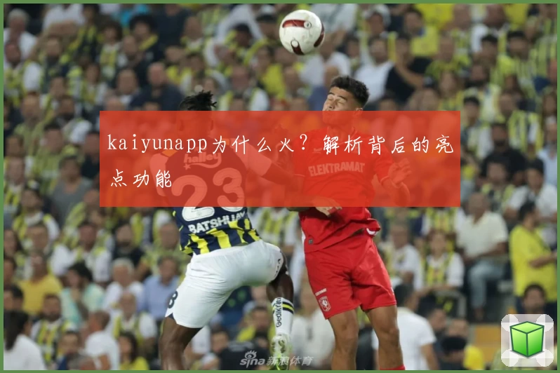 kaiyunapp为什么火？解析背后的亮点功能